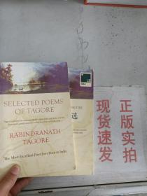 泰戈尔诗选：SELECTED POEMS OF TAGORE