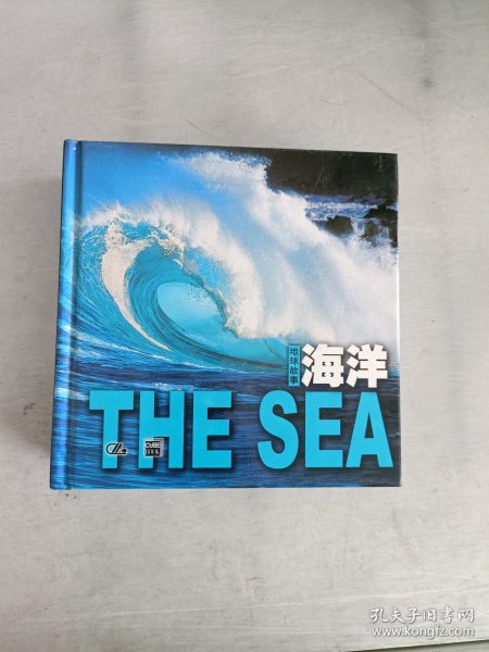 海洋