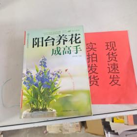 阳台养花成高手