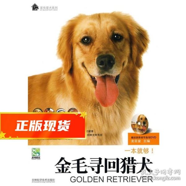 金毛寻回猎犬