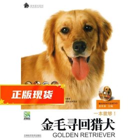 金毛寻回猎犬