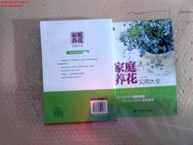 家庭养花实用大全（春夏秋冬一年四季的养护技巧，轻松打造室内绿意，呵护全家身心健康）