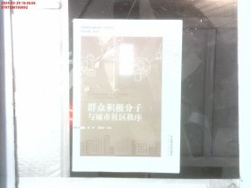 群众积极分子与城市社区秩序/中国城市治理创新实证研究丛书