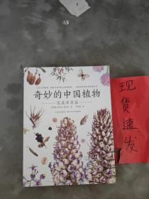 奇妙的中国植物(荒漠草原篇)