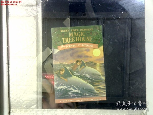 Dolphins at Daybreak (Magic Tree House #9) 神奇树屋系列9：与海豚共舞