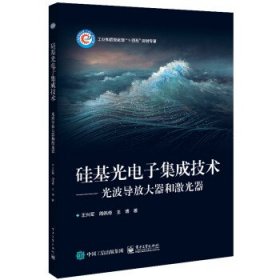 硅基光电子集成技术――光波导放大器和激光器