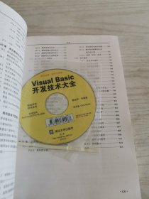 Visual Basic开发技术大全