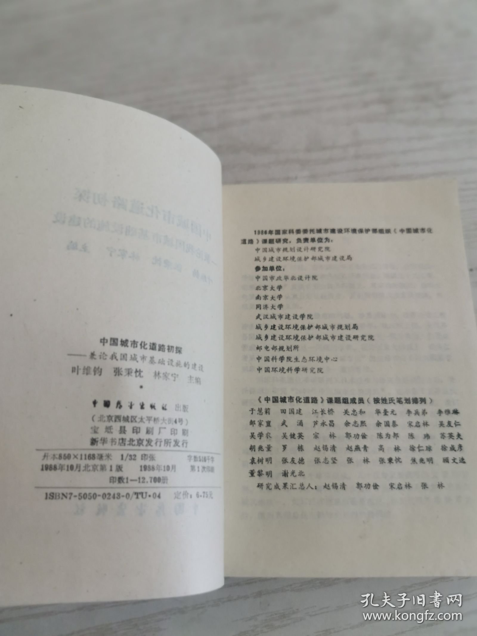 中国城市化道路初探