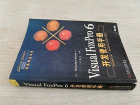 Visual FoxPro 6开发使用手册