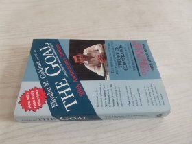 The Goal：A Process of Ongoing Improvement