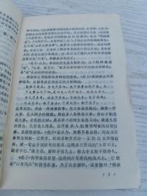 民族的光辉(下）