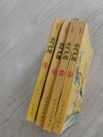 杀气严霜（全四册）