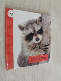 RACCOONS