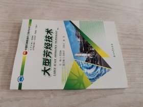 大型芳烃技术/中国石油炼油化工技术丛书