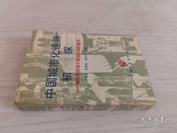 中国城市化道路初探