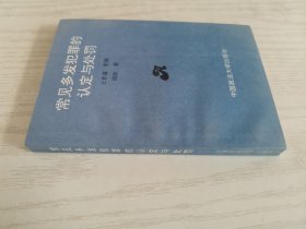 常见多发犯罪的认定与处罚