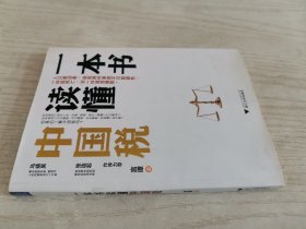 一本书读懂中国税