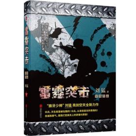 刘猛作品集：雷霆突击（全新经典作品）