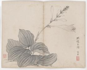 【现代喷绘工艺品】花卉虫草12帧 蒋廷锡绘本 清绘本28X410厘米 防水涂层宣纸高清彩喷拓本碑贴书画手卷长卷装饰画真迹原大复制