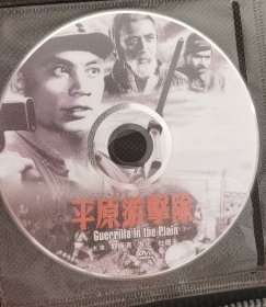 平原游击队dvd