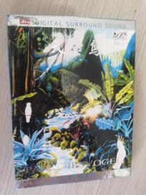 天堂鸟 大自然音乐dvd