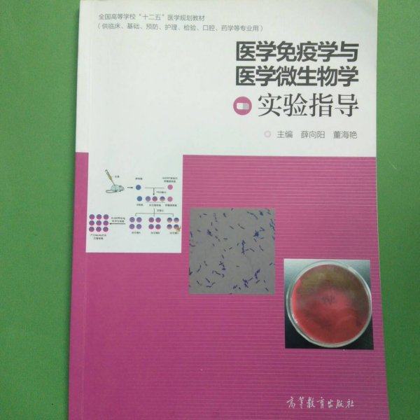 医学免疫学与医学微生物学实验指导/全国高等学校“十二五”医学规划教材