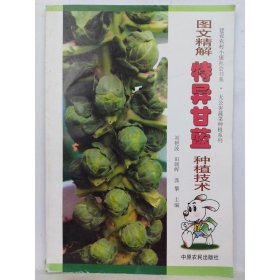 图文精解特异甘蓝种植技术 刘艳波
