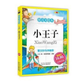 小王子-成长文库 拼音美绘本 