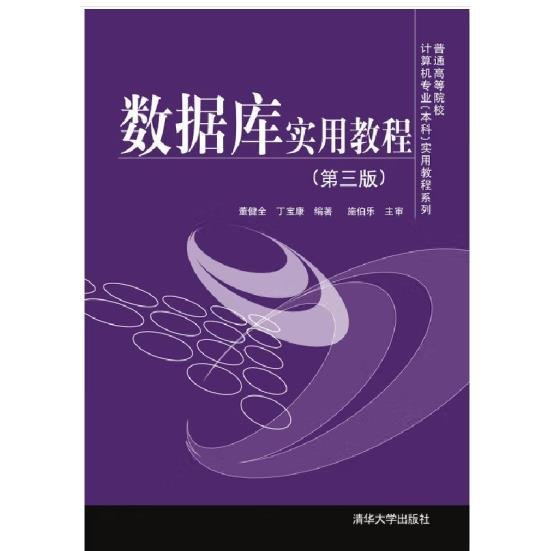 数据库实用教程 普通高等院校计算机专业（本科）实用教程系列 董健全