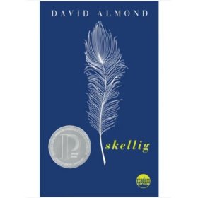 Skellig 当天使坠落人间 英文原版 David Almond