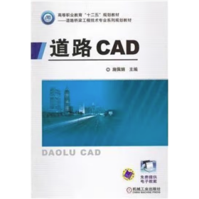 道路CAD 施佩娟