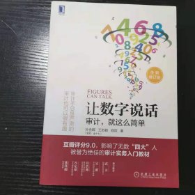 让数字说话：审计，就这么简单