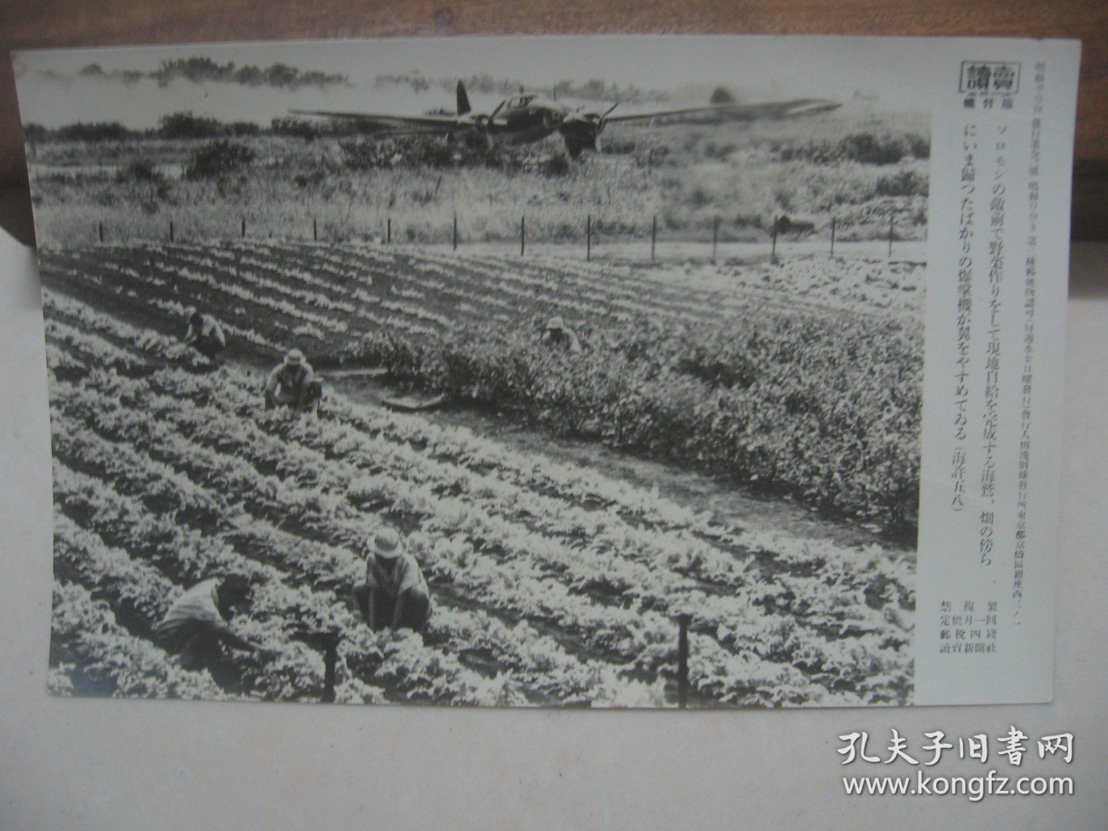读卖新闻老照片 1943年 《归航的日军轰炸机掠过所罗门正在作业的菜场》1枚  烧付版