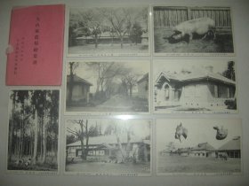 民国时期 日本明信片 风景名胜《大山家农场》一套7枚