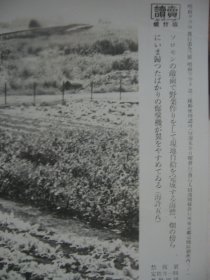 读卖新闻老照片 1943年 《归航的日军轰炸机掠过所罗门正在作业的菜场》1枚  烧付版