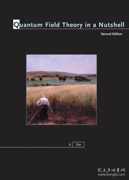 预售 Quantum Field Theory in a Nutshell 2nd Edition 徐一鸿 量子场论