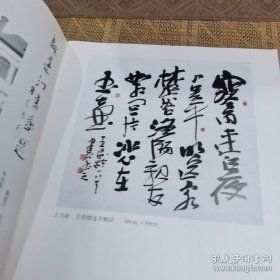 魏建汀 画册 当代中国书画家