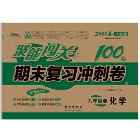 聚能闯关期末复习冲刺卷 9年级 下 化学 人教版 全新修订版 2024