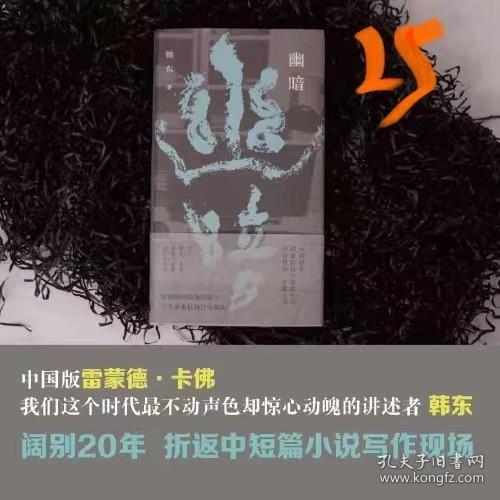 （精装）幽暗(鲁迅文学奖得主韩东中短篇小说选集)