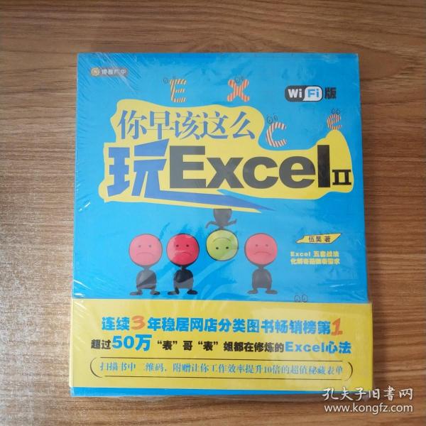 你早该这么玩Excel II （WiFi版）