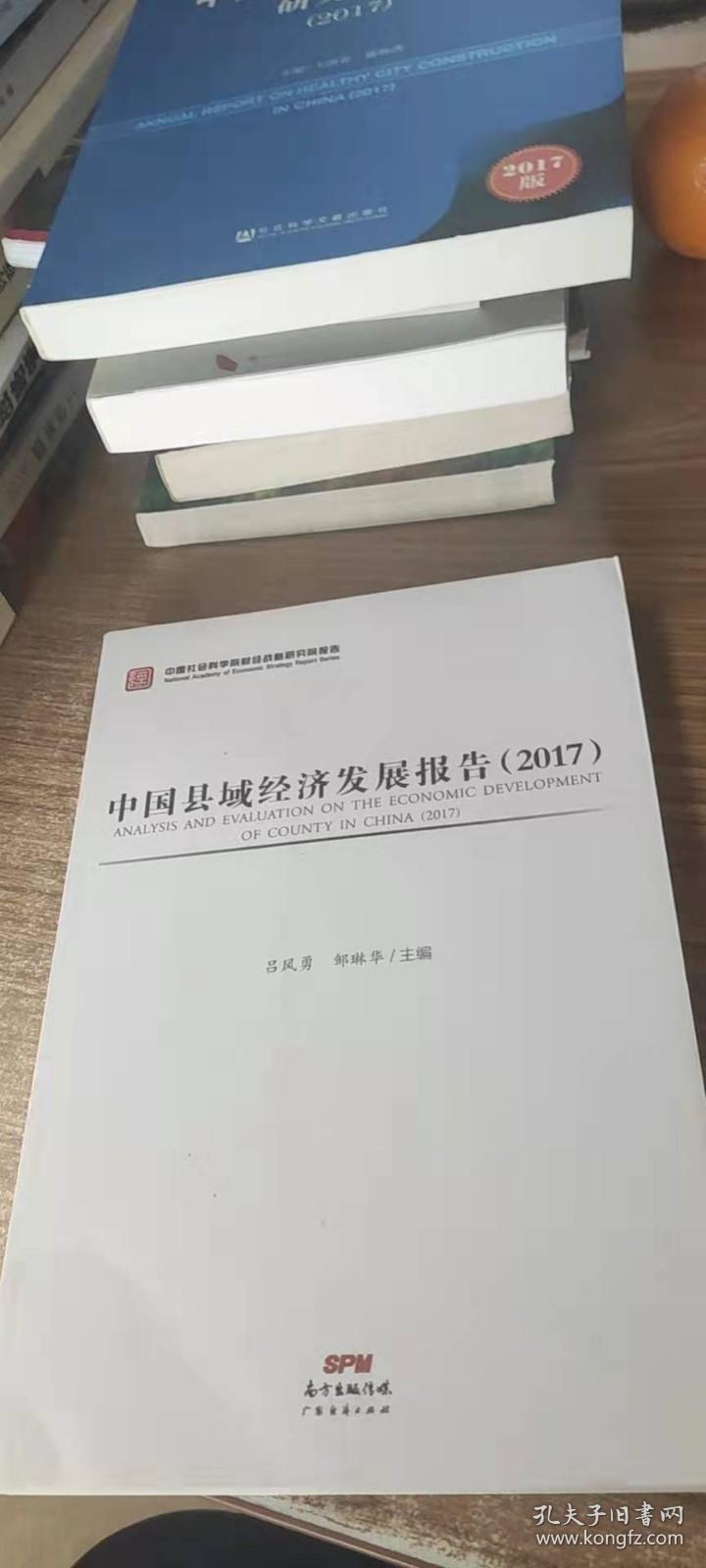 中国县域经济发展报告 （2017）