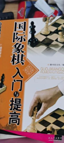 棋牌娱乐指南：国际象棋入门与提高