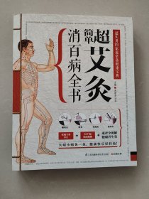 超简单艾灸消百病全书