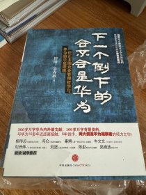 下一个倒下的会不会是华为：任正非的企业管理哲学与华为的兴衰逻辑