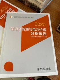 2020国内外能源与电力价格分析报告