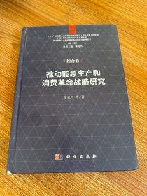 推动能源生产和消费革命战略研究