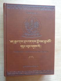 五世达赖阿旺洛桑嘉措文集（缺第16卷）（全25卷）