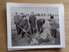 新华社新闻展览照片20张 华国锋植树等  1979年