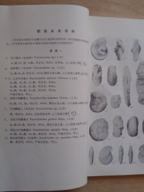 西藏古生物图册 一