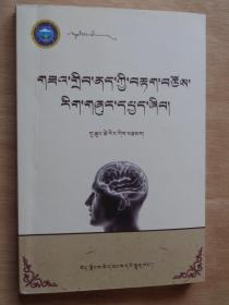 藏医中风诊疗方法（藏文）